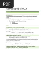 Metabolismo Celular