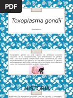 Toxoplasma Gondii Exposicion