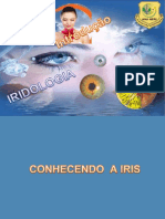 Aula Iridologia Introdução