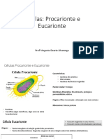 2 Células Procarionte, Eucarionte e Biologia Celular