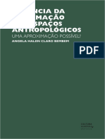 Ciencia Da Informação PDF