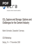 CO Capture and Storage: Options and Challenges For The Cement Industry