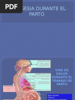 Analgesia en Labour (1) Analgesia Durante El Parto