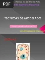 tECNICA DE MODELADO PDF