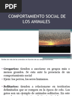 Comportamiento Social de Los Animales