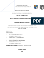 Informe #01. Identificación de Fuentes y Contaminantes Ambientales