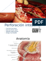 7 Perforación Intestinal