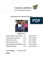 REPORTE DE ALQUINOS EQUPO 4docx