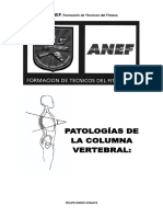 PDF Documento