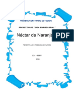 Proyecto de Negocio Nectar de Naranja (MODELO)