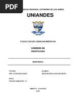 PDF Documento