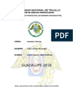 Diagnóstico de La Industria Cárnica en El Perú