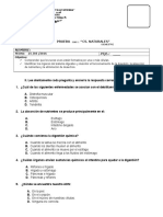 Prueba Cs. Naturales Sistema Digestivo