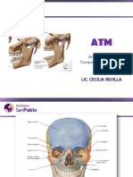 Articulacion Temporomandibular