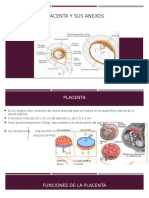 Placenta y Sus Anexos