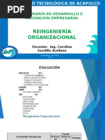 Reingenieria Organizacional