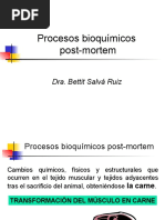 5 Clase Procesos Bioquimicos - POST-MORTEM PDF