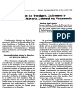 Pruebas Informe Testigo