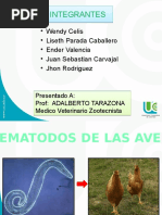 Expo Aves 2