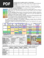 Guia Clasificación 9