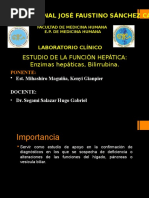 Función Hepática. Enzimas Hepáticas y Bilirrubina