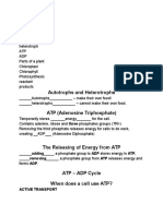 Autotrophs and Heterotrophs: Photosynthesis & Cellular Respiration