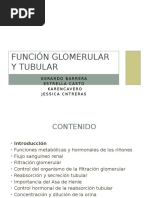 Función Glomerular y Tubular. 