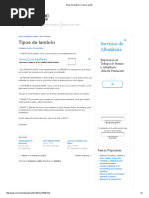 Tipos de Lambrín - Cursos Gratis PDF