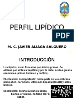 Perfil Lipidico