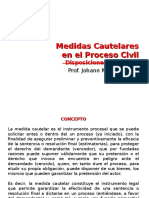 8) Medidas Cautelares en El Proceso Civil. Disposiciones Generales - DPC II (2016-I)