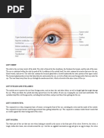 Anatomy of The Left Eye