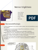 1 - Nervo Trigêmeo