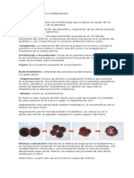 Desarollo Embrionario Desde La Fecundacion Hasta La Semana 38