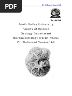 South Valley University Faculty of Science Geology Department Dr. Mohamed Youssef Ali