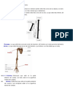 Terminos de Orientacion Luis Mendoza