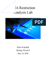 Dna Restriction Analysis Lab Report