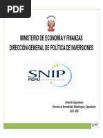 Proyectos de Inversion Publica PDF