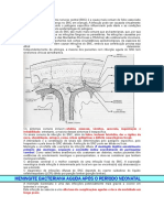 Meningite