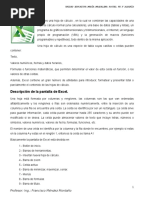 Compendio de Excel 2010