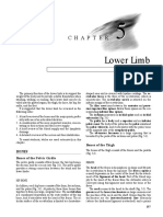 Snell Lower Limb