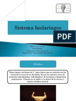 Sistema Hiolaringeo PDF