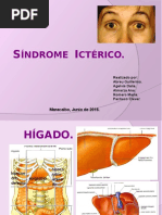 Sindrome Icterico Diapositivas