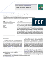 Genetic Related Effects On Sheep Meat Quality: Small Ruminant Research