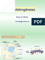 Aula Bioeletrogenese