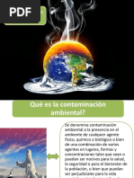 Modulo 1 Contaminacion Ambiental