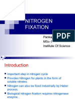 Nitrogen Fixation