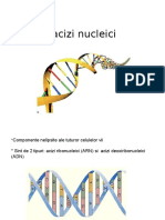 Acizi Nucleici