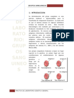 Grupos Sanguineos