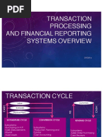 Transaction Processing and Financial Reporting Systems Overview