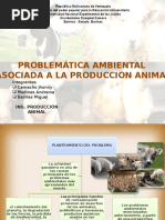 Produccion Animal